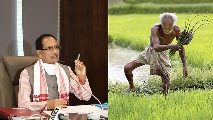 Chief Minister Shivraj Singh Chauhan has said that every single grain of wheat of the farmers will be purchased. All arrangements for wheat procurement have been ensured in advance in all districts. To ensure that farmers do not face any problem, extensive arrangements will be made and all necessary facilities will be made available at the procurement centers.