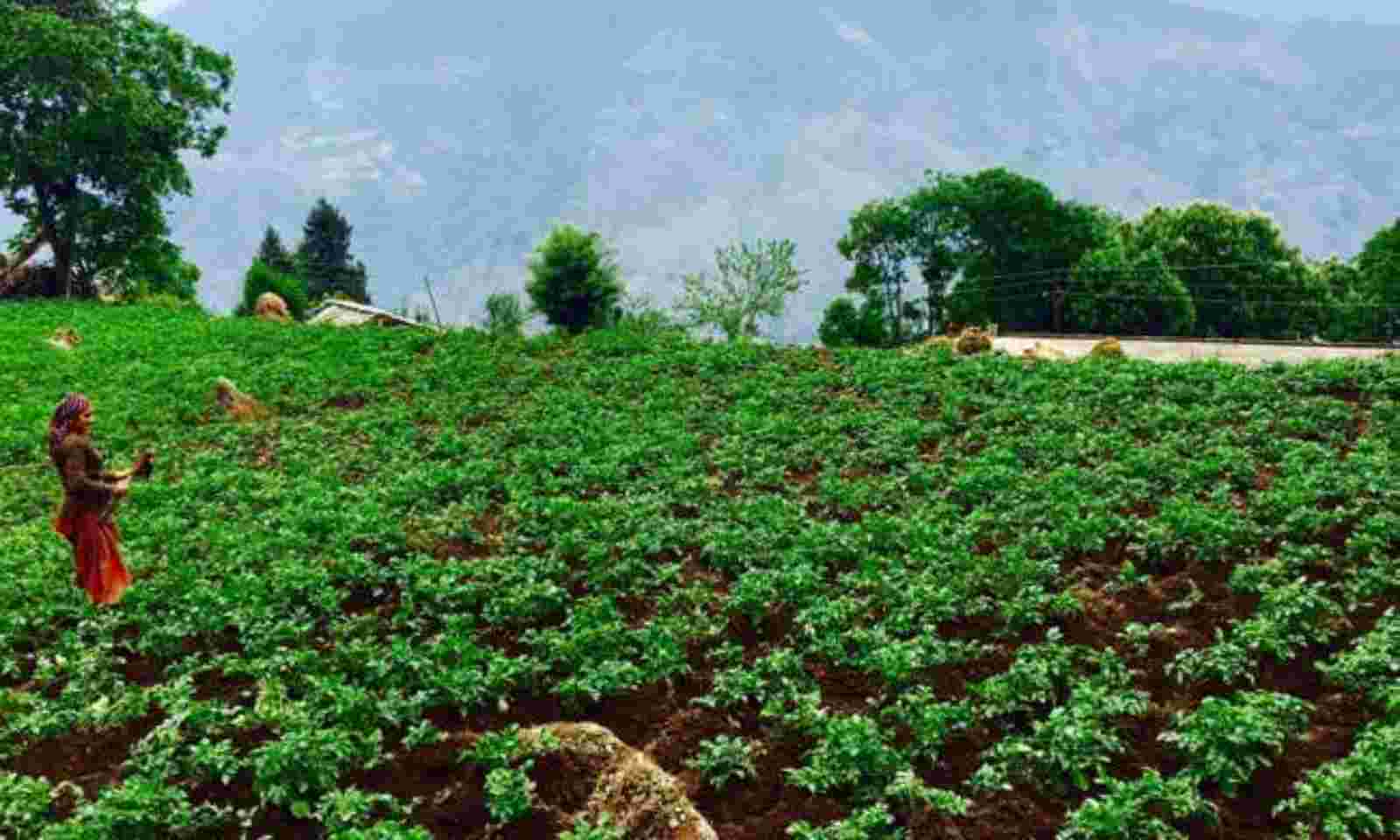 The National Medicinal Plants Board (NMPB) under the Ministry of AYUSH has organized herbal medicines across the country in the order
