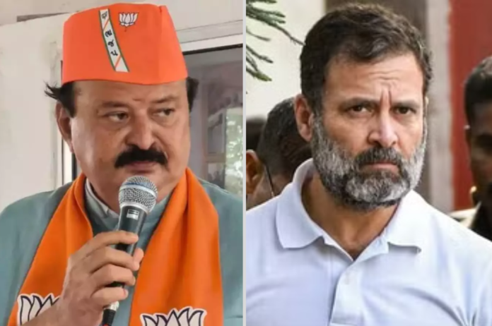 Gujarat: BJP MLA Purnesh Modi, who filed defamation case against Rahul Gandhi, made state in-charge.