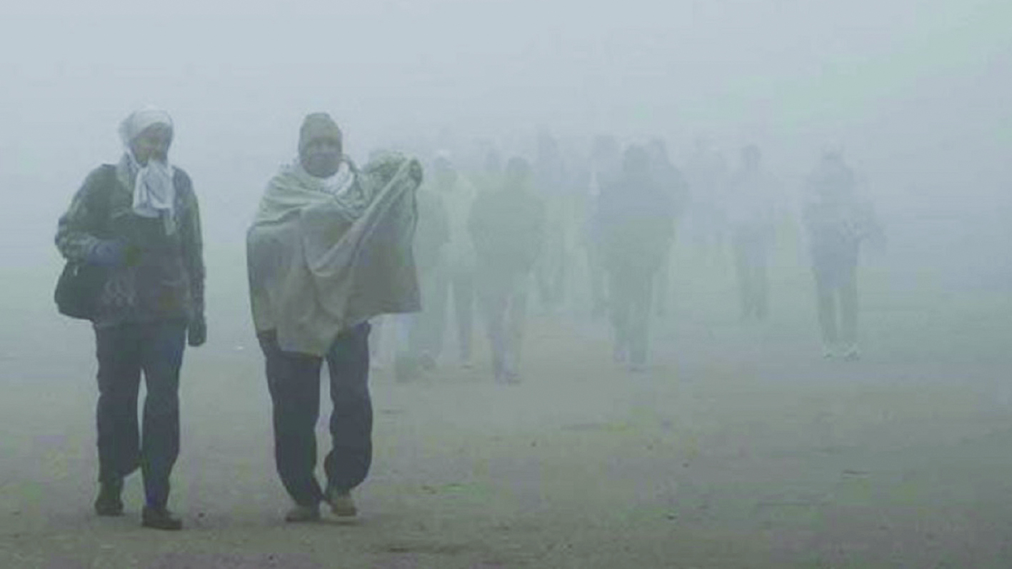 cold-wave-hits-the-whole-of-north-india-delhi-wrapped-in-a-thick-sheet-of-fog